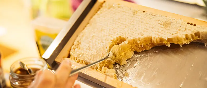 Honig aus der Aatal-Imkerei